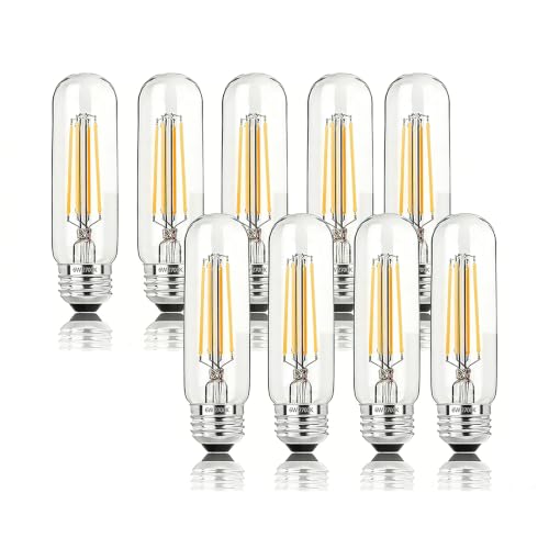 Edison Bulbs E26 Led Bulb 6W Dimmable (9 Count)