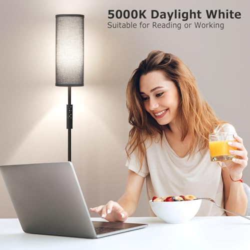 64'' Floor Lamps for Living Room with Remote Control and Stepless Dimmable Colors Temperature & Brightness