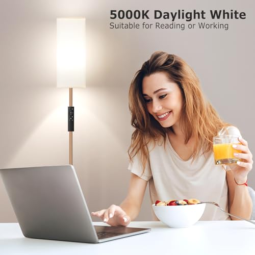 64'' Floor Lamps for Living Room with Remote Control and Stepless Dimmable Colors Temperature & Brightness