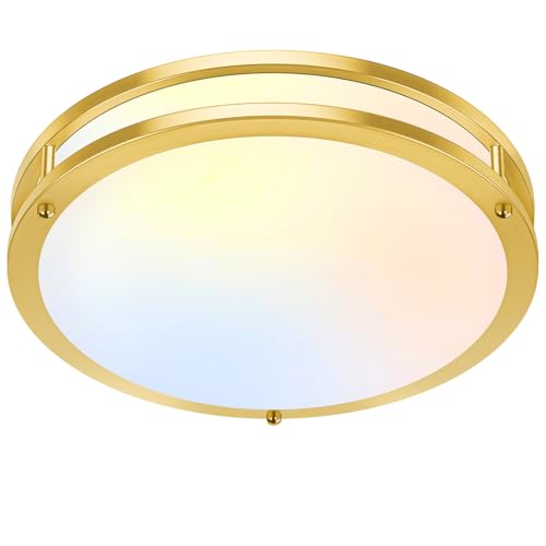 13 Inch LED Flush Mount Ceiling Light