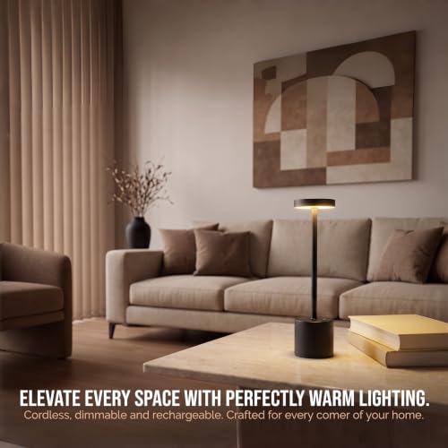 Black Cordless Table Lamp Set of 2 (2 Count)