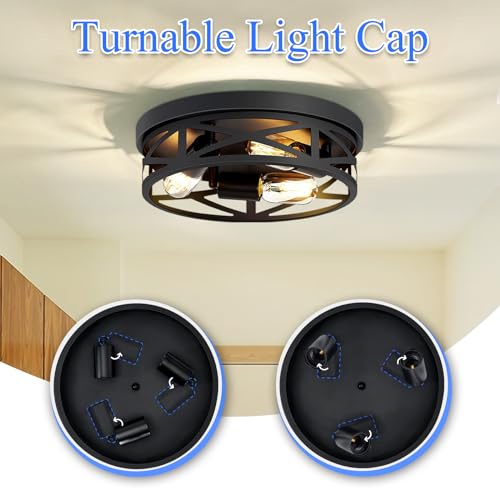 Flush Mount Ceiling Light Fixture