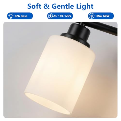 2 Light Bathroom Light Fixtures