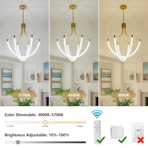Modern Gold Chandelier Light Fixtures