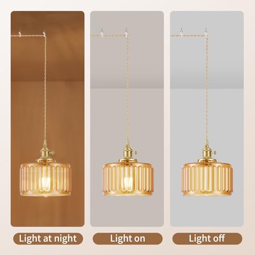 Plug in Pendant Light