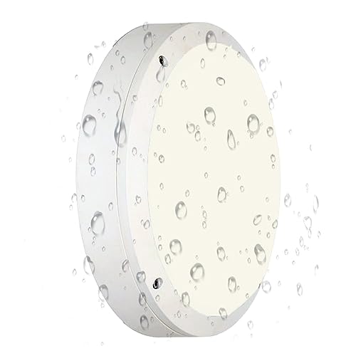 Flush Mount Ceiling Light
