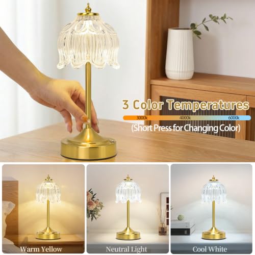 Cordless Table Lamp