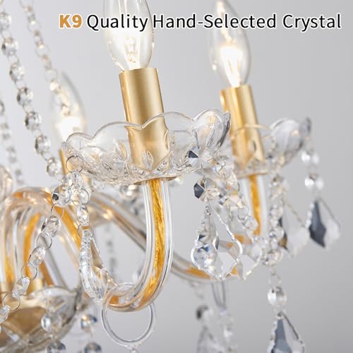 Crystal Chandelier Light Fixture