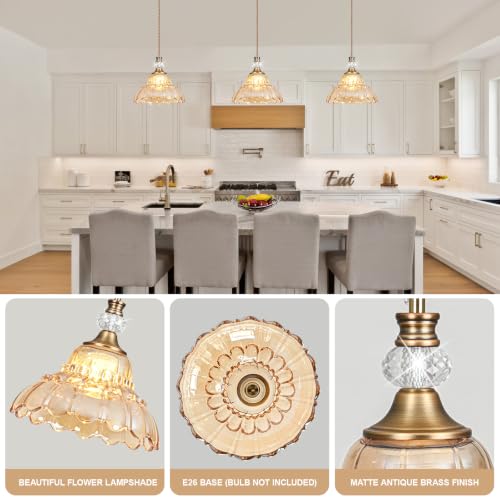1 Piece Vintage Chandelier in Matte Antique Brass Finish with Amber Flower (1-Light / Antique Brass and Amber)