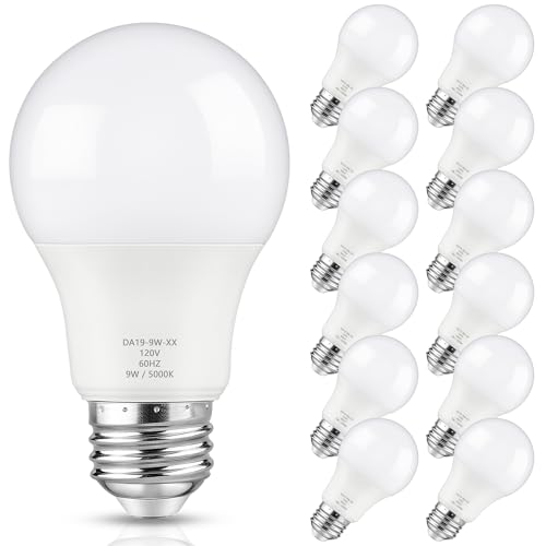 A19 LED Light Bulb (12 Count)
