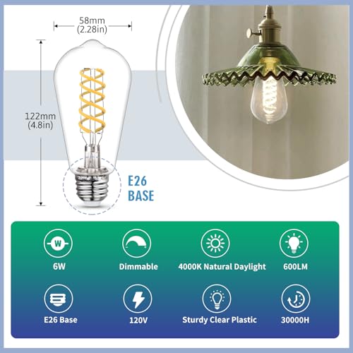 12Pack 60 Watt Equivalent Edison Light Bulbs (12 Count)