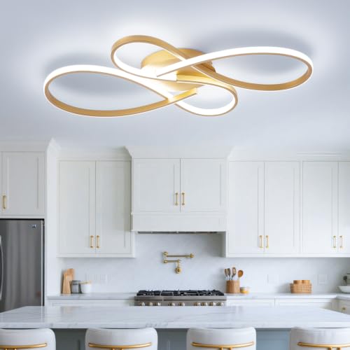 66W Dimmable Modern LED Ceiling Light Fixtures 3000K