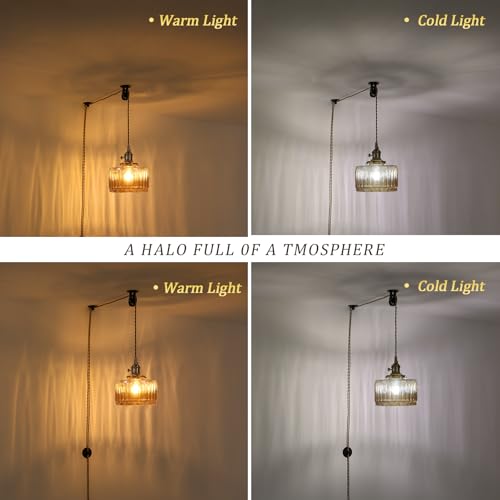 Plug in Pendant Light Hanging Light Fixture Corded On
