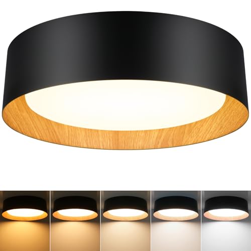 Flush Mount Ceiling Light
