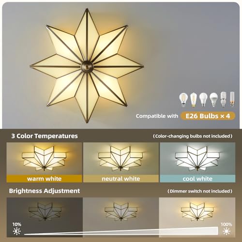 Star Vintage Bronze Ceiling Light