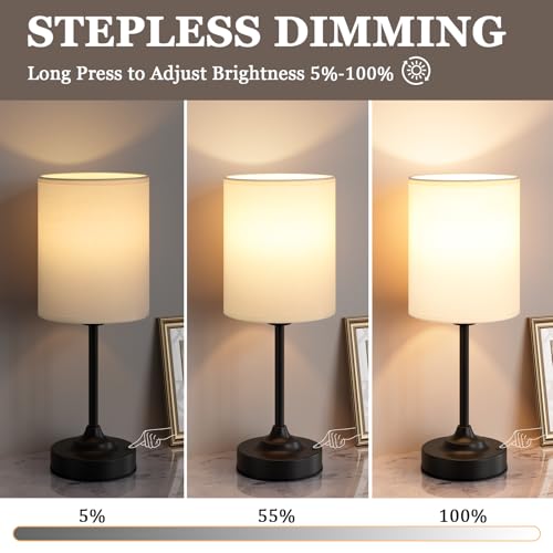 Touch Control Cordlss Table Lamp (2 Count)