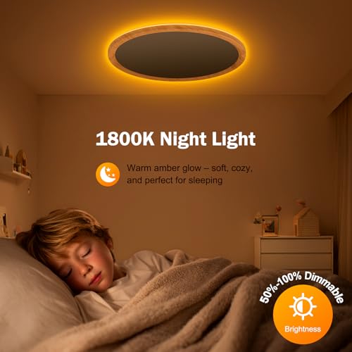 15Inch LED Flush Mount Ceiling Light with Remote Control