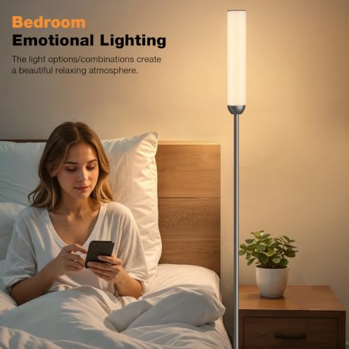 LED Floor Lamp with Remote Control