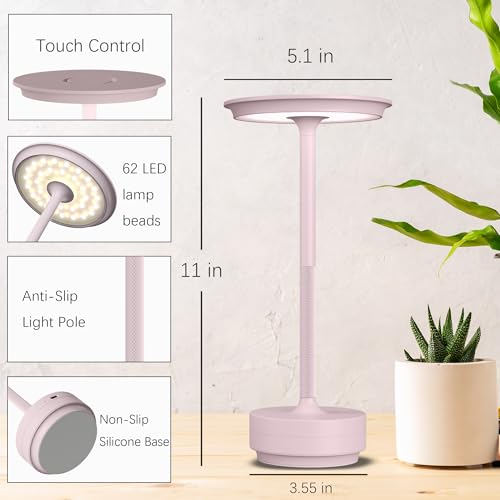 2 Pack Cordless Table Lamps Rechargeable (2 Count)