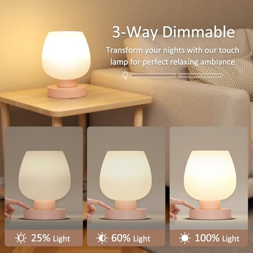 Pink Touch Table Lamp for Nightstand