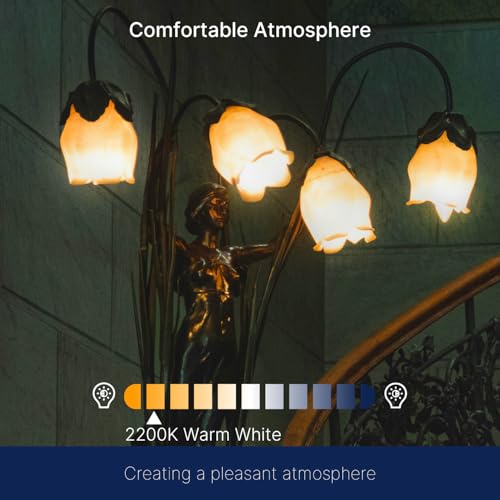 40W Equivalent LED Chandelier Light Bulbs (12 Count)
