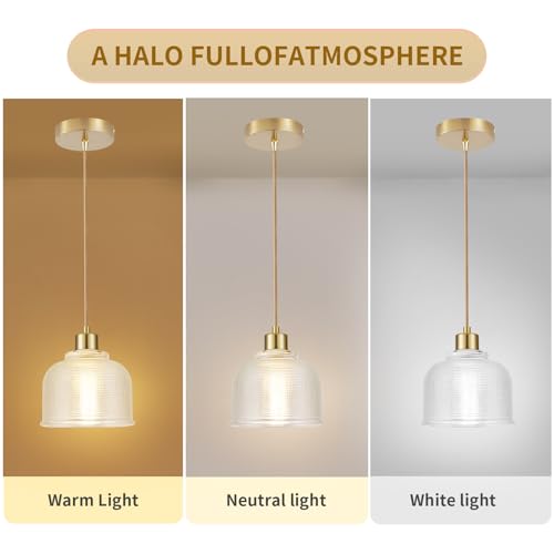 2Pack Industrial Pendant Lighting (2 Count)
