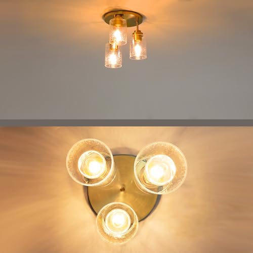 Semi Flush Mount Ceiling Light