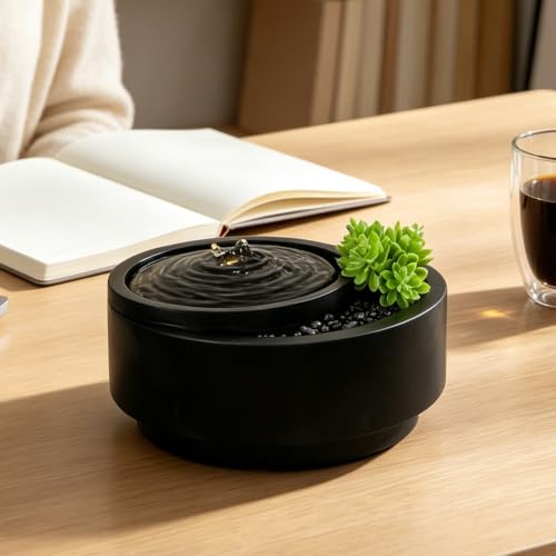 Table Fountain Indoor Water Zen Garden Decor with Succulent Plant