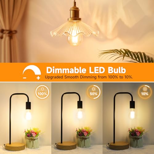 A19 Vintage LED Edison Bulbs Dimmable 60W Equivalent High Brightness (4 Count)
