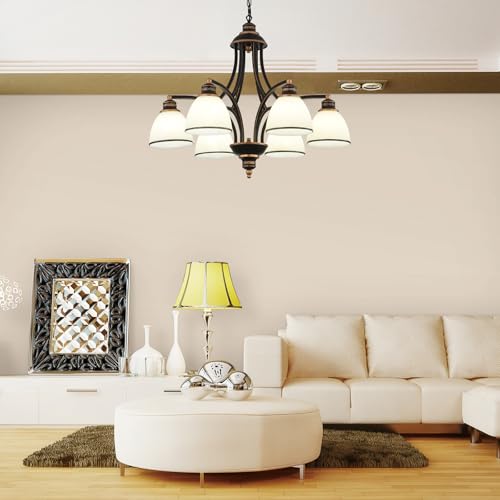 6 Light Chandelier