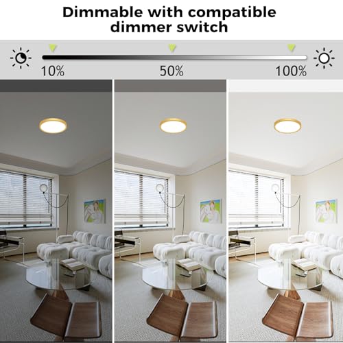 LED Flush Mount Ceiling Light Fixture Golden
