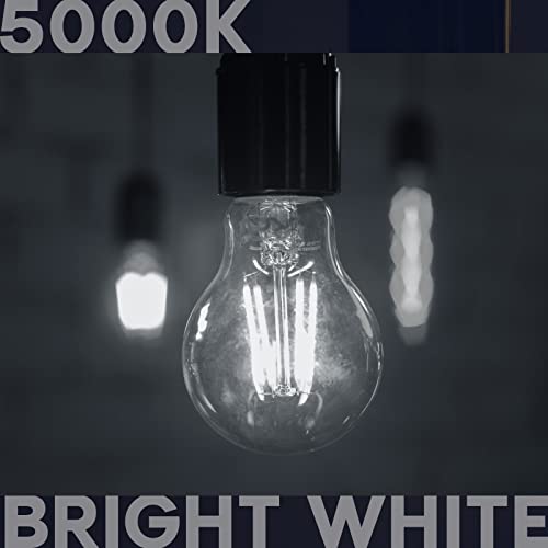 Vintage A19 LED Light Bulbs 100W Equivalent (2 Count)