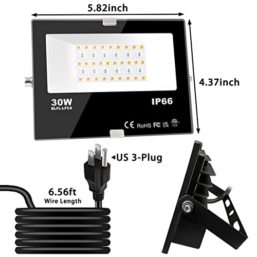 LED Flood Light Outdoor 30W (4 Count)
