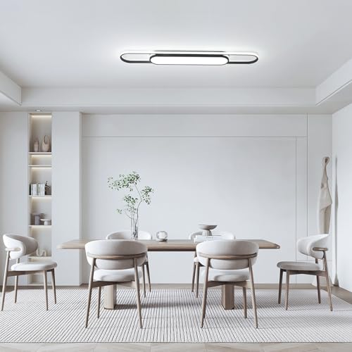 Modern LED Ceiling Light