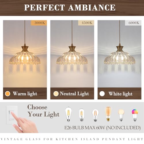 Amber Glass Pendant Lights