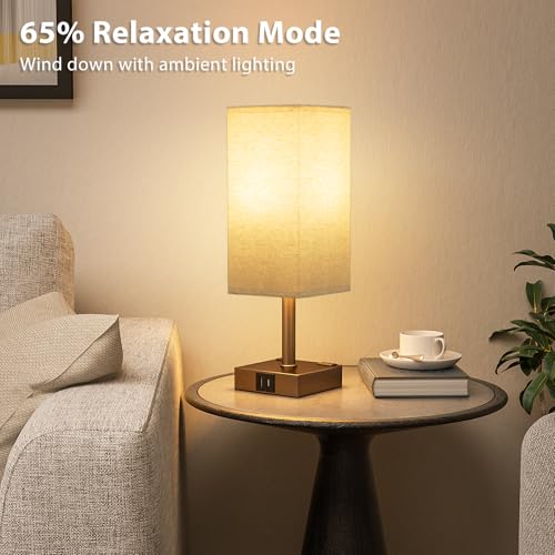 Brown Touch Lamps Set of 2 for Bedroom