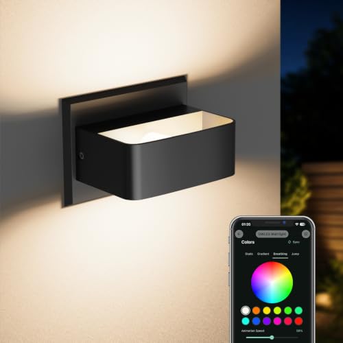 Outdoor Wall Lights (Black / 1 Pack)