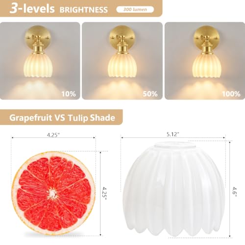 Vintage Battery Operated Wall Sconce