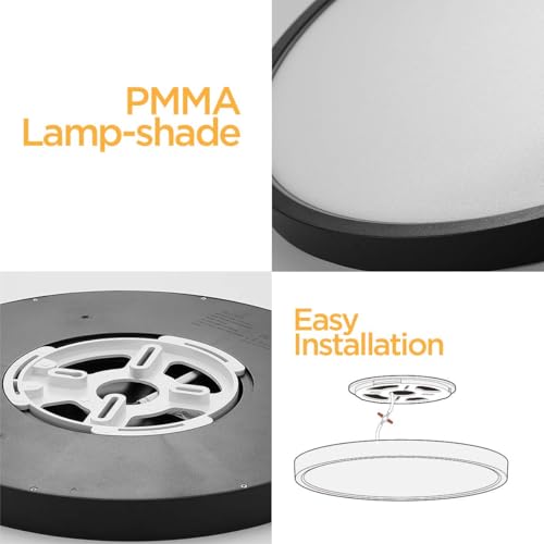 Flush Mount LED Ceiling Light Fixture Black