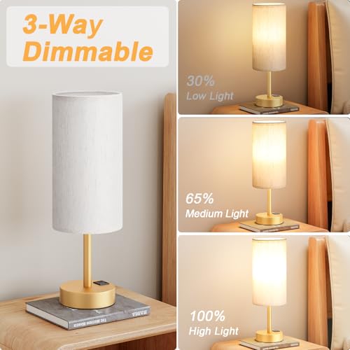 Touch Bedside Lamps for Nightstand