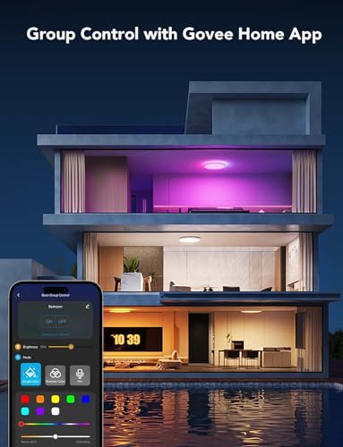 Smart Ceiling Light