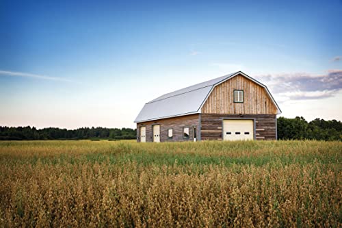 BarnGuard LED Barn Light
