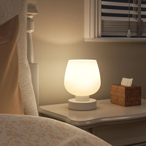 Small Touch Table Lamp for Nightstand