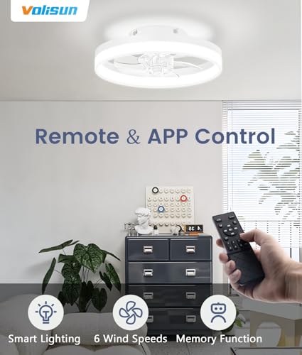 13 inch Small Ceiling Fans with Lights and Remote