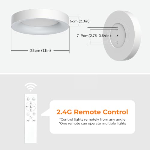 RGB LED Flush Mount Ceiling Light with Remote Control