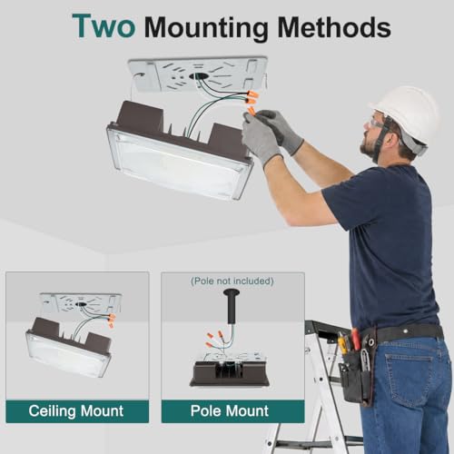 60W LED Canopy Light