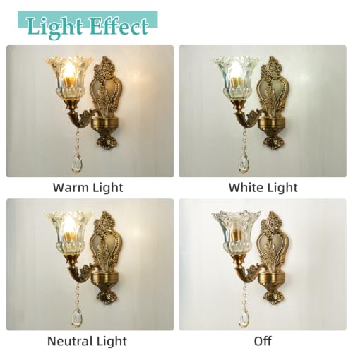 Vintage Wall Sconce