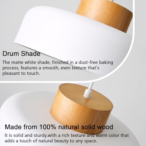 Modern Pendant Light