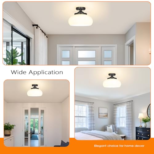 Black Semi Flush Mount Ceiling Light