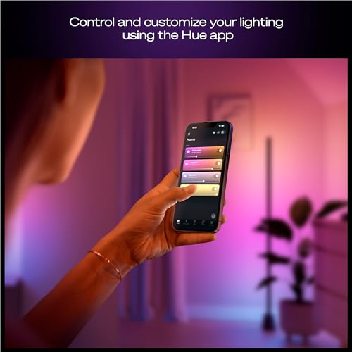 Hue Play Floor Lamp